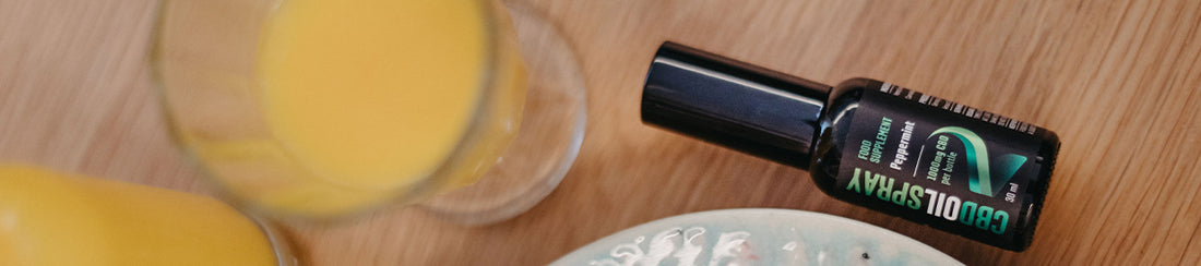 Meet the Best CBD UK Products