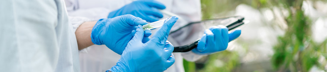 Will CBD Oil Show on a Drug Test