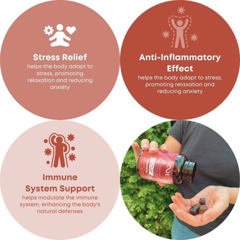 4-Mushroom Berry Flavored Vegan Benefits