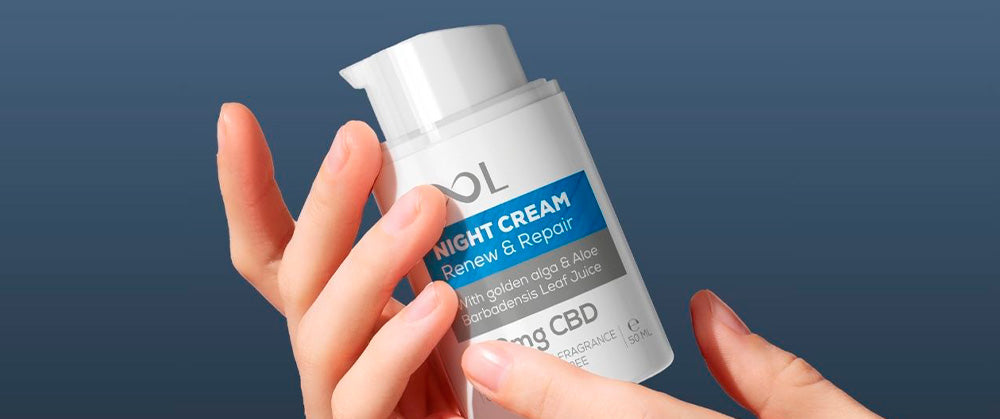 Sool Cbd  Night Cream Usage