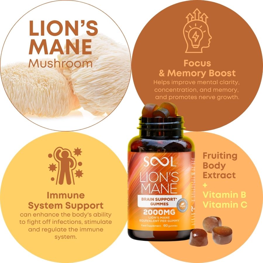 Sool Lions Mane Berry Flafored Vegan Gummies Benifits