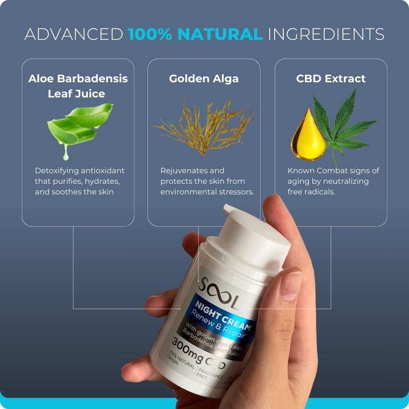 Sool Cbd Night Cream Benefits