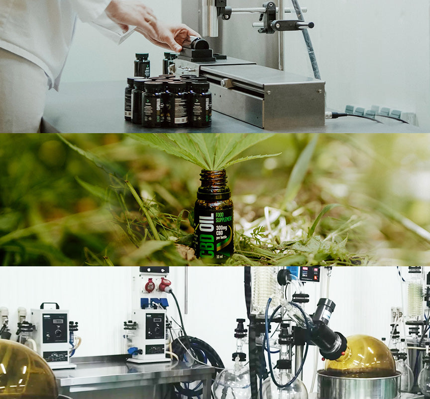 Reakiro Production