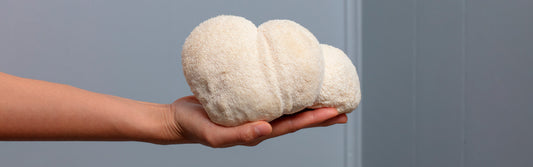 The Cognitive and Immune-Boosting Advantages of Lion's Mane Mushroom