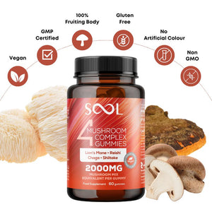 4-Mushroom Berry Flavored Vegan Benefits