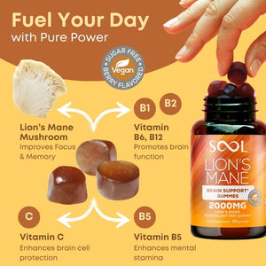 Sool Lions Mane Berry Flafored Vegan  Gummies-Vitamins