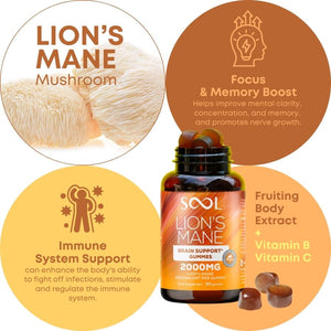 Sool Lions Mane Berry Flafored Vegan  Gummies Benifits